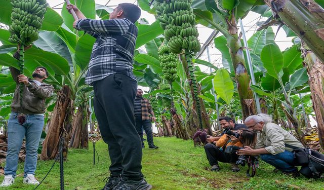 Gazipaşa’da foto safari