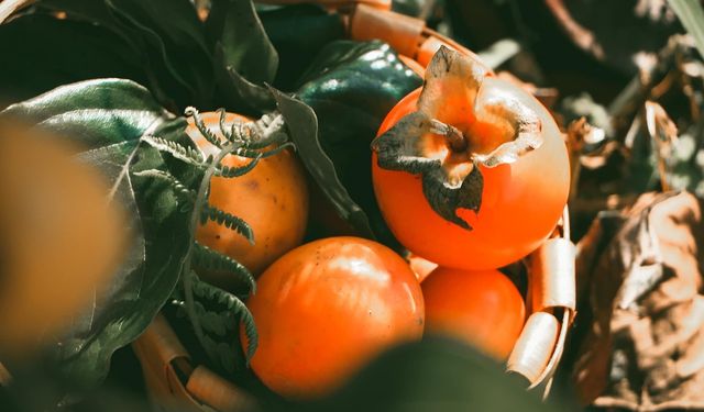 Amme meyvesi: Doğu’dan Anadolu’ya uzanan bir şifa serüveni