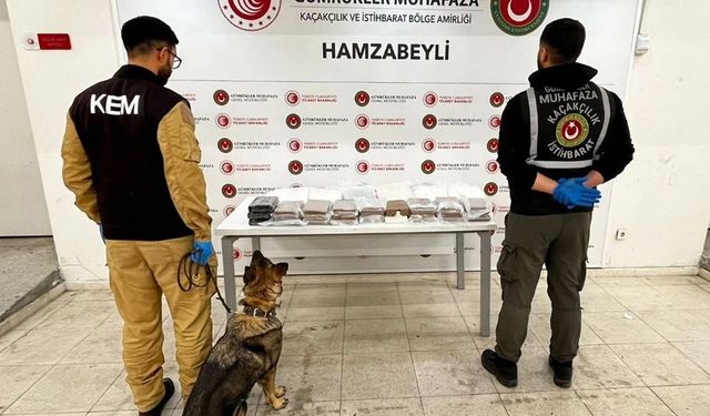Gümrüklerde 33 ton uyuşturucu ele geçirildi