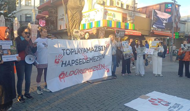 ‘Barınaklar ölüm  kampına döndü’