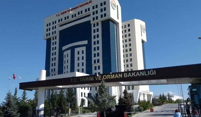 Tarım ve Orman Bakanlığı sözleşmeli personel alımı yapacak