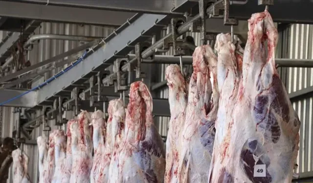 Karkas et ithalatı ekonominin düşmanı