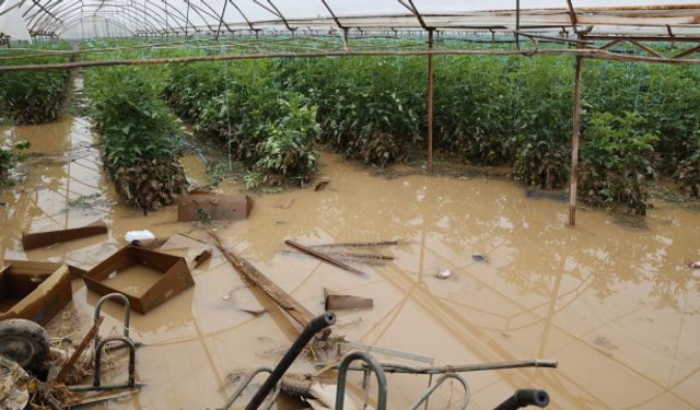 Sel felaketi tarımı vurdu