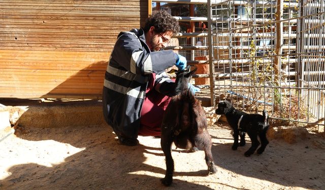 Doğal Yaşam Parkı’nda kış tedbirleri