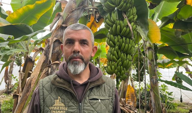 Yüzde 40'ını Alanya karşılıyor