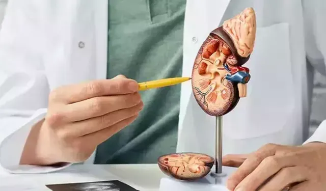 C vitamininin fazlası böbrek taşı riskini artırıyor