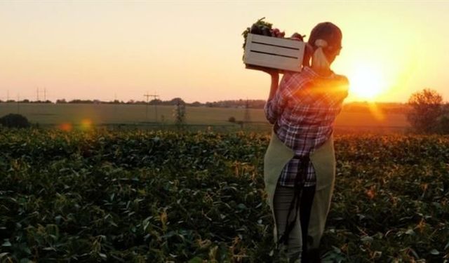 Kadın çiftçilere üniversitede eğitim