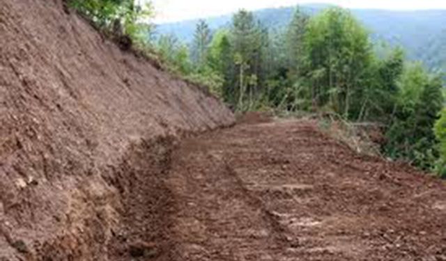 1200 MT B TİPİ ORMAN YOLU YAPIMI