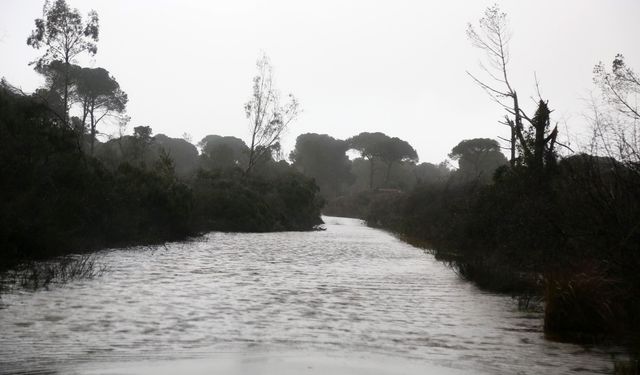 Antalya'da çaylar taştı, çardaklar denize sürüklendi!