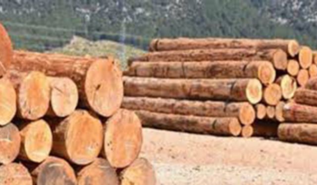 ORMAN EMVALİ İSTİF YAPIM İŞİ