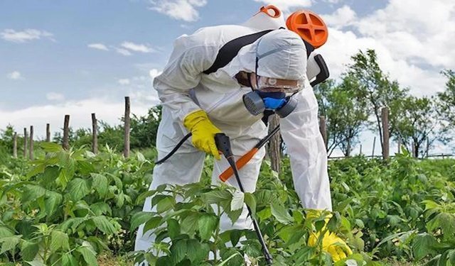 Ziraatçılardan yardım çığlığı