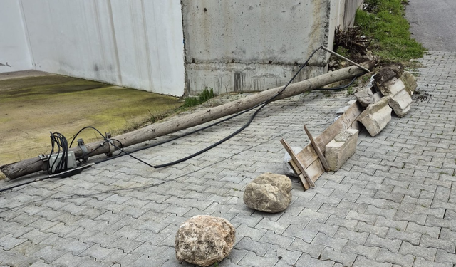 Kemer’de maganda internet hattını kopardı, direkleri devirip kaçtı!