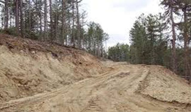 YENİ ORMAN YOLU VE BÜYÜK ONARIM YAPIM İŞİ