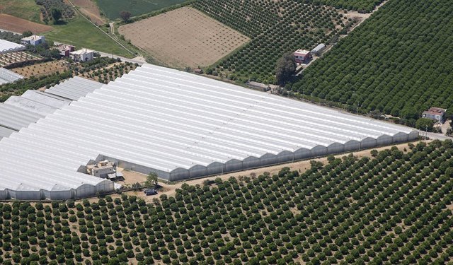 Antalya’dan korkutan açıklama: 100 ülkenin gıda güvenliği tehlikede