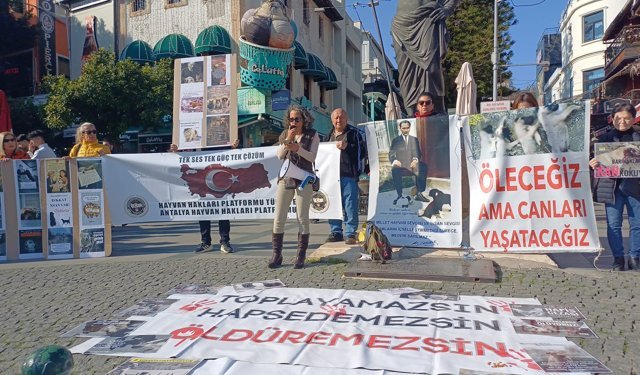 Antalya’da hayvan hakları için tek ses oldular
