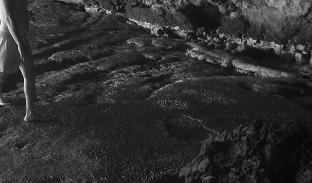 Yok olma tehlikesi  ile karşı karşıyalar