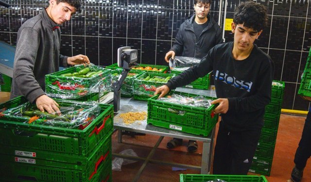 Rusya'ya sebze ihracatı arttı