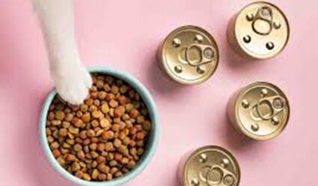 2026 YILI KEDİ VE KÖPEK MAMA ALIMI