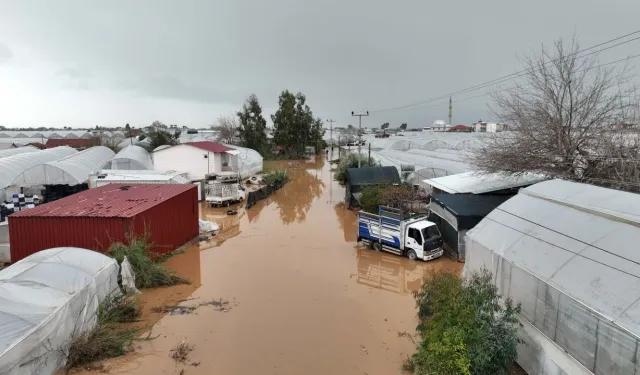 Antalya’daki çiftçilere 100 milyon TL destek