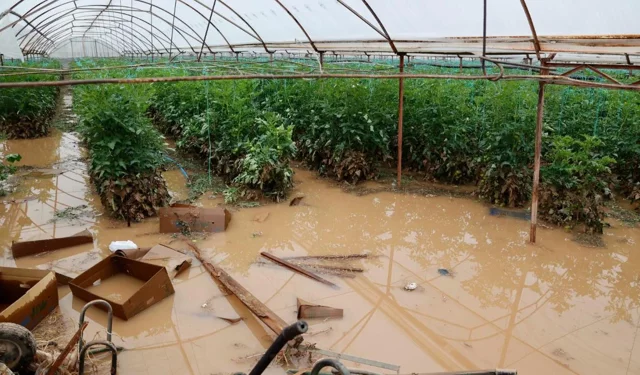 Afetin izleri pazara yansıdı