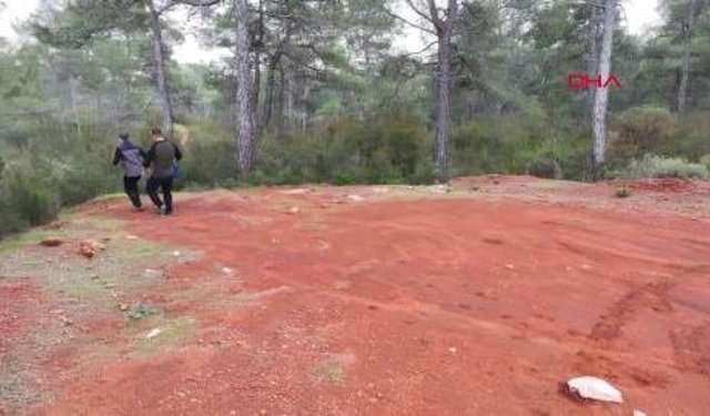 Türkiye Ormancılık Yarışmaları tamamlandı