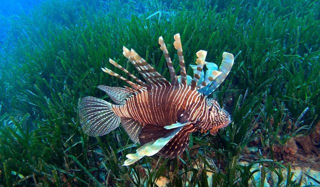 Akdeniz'de 'çıkmaz yol'