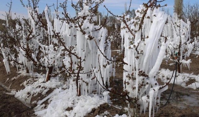 Tarım sigortasında kapsam değişmeli