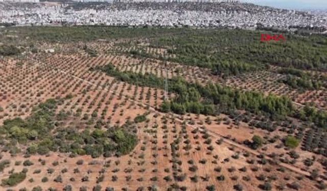 16 bin 716 'topraksız çiftçi', toprak sahibi oldu