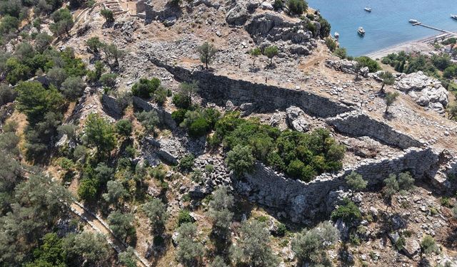 Antik Çağ’da bağcılık ve incir yetiştiriciliği katı kurallara bağlanmış