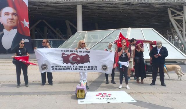 Kuşlar için müze önünde eylem