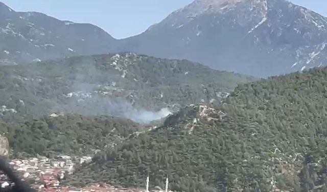Fethiye’de orman yangını