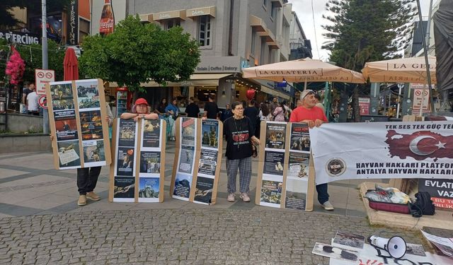 Attalos’ta ‘yaşam hakkı’ çağrısı