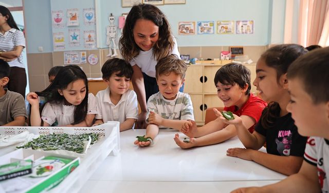 Çocuklar okullarda ipekböceği yetiştirecek