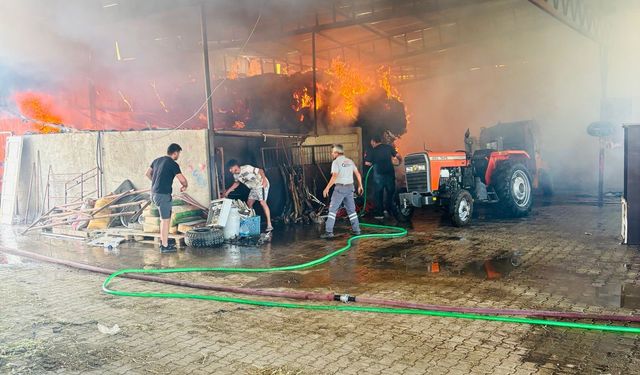 Hayvan çiftliğinde yangın: Yüz binlerce liralık zarar