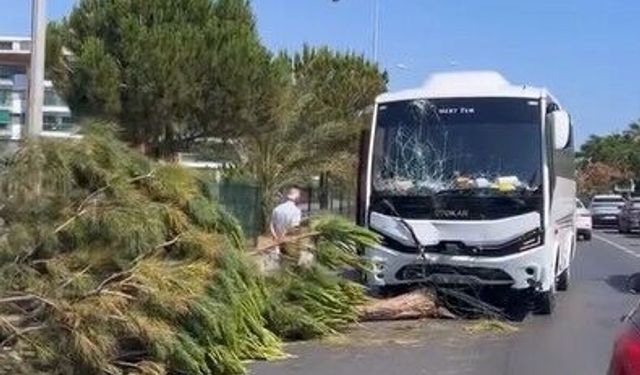Alanya'da alkollü sürücü kaza yaptı