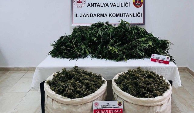 Serik'te uyuşturucu operasyonu
