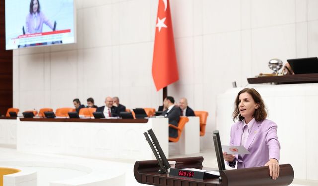 Aliye Coşar'dan tepki: Sorunları gizlemek için yapılıyor