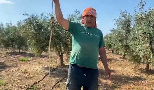 "Ben öldürdüm" dedi cezayı yedi