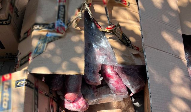Alanya'da 300 kilogram et imha edildi
