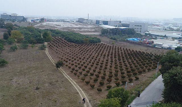 Manavgat’ta 111 milyon liralık arsa satışı