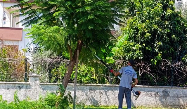 Kemer'de yeşil alan bakımı