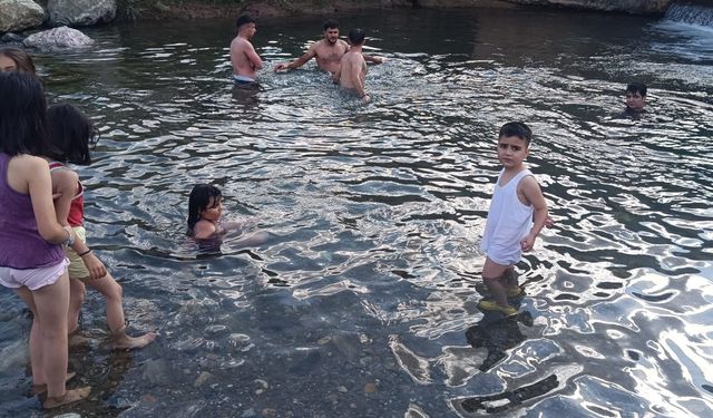 Sıcaklara karşı doğal çözüm