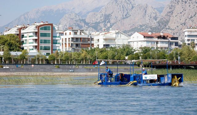 Boğaçayı sucul otlardan temizleniyor