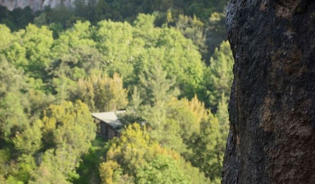 Geyikbayırı Orman Parkı ihaleye çıkıyor