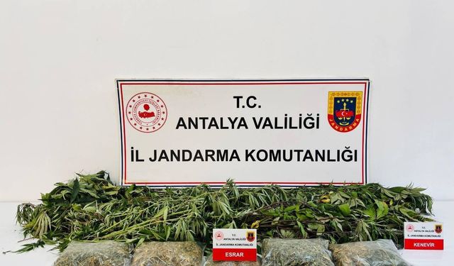 Alanya'da uyuşturucu operasyonu