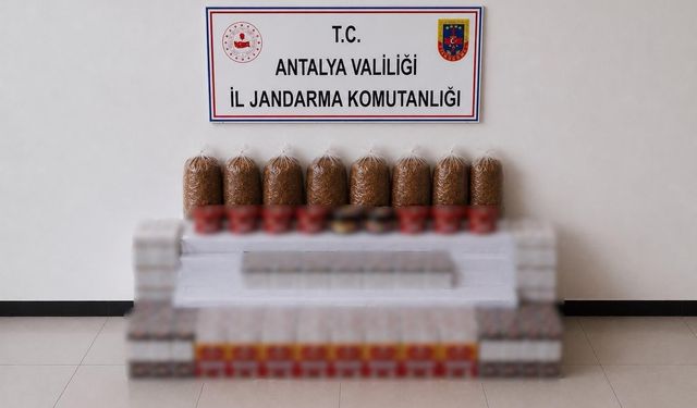 Manavgat'ta 30 bin dolu makaron ele geçirildi