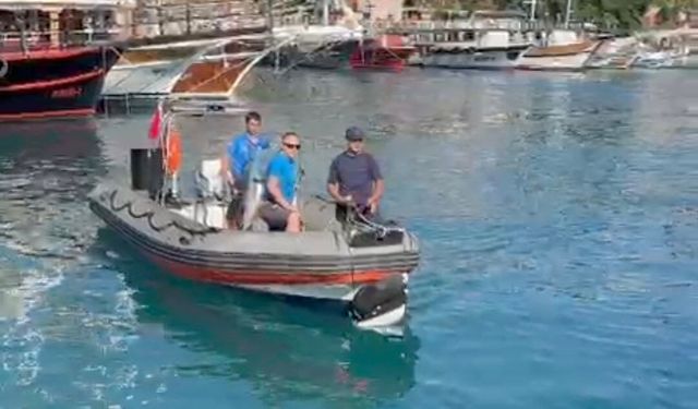 Falezlerde 15 yaşındaki kız çocuğu kurtarıldı