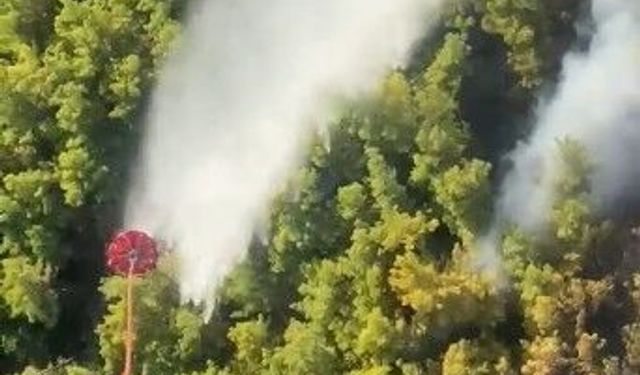 Manavgat’taki orman yangını kontrol altında