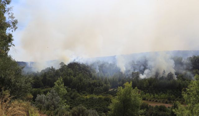 Yangın 21. saatinde devam ediyor