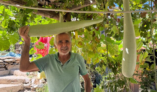 Antalya'da bu kabak şaşırttı
